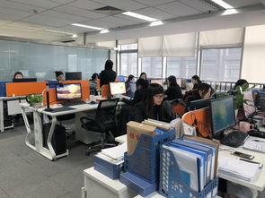 喜报！优创人力集团荣膺青岛市人力资源管理协会理事单位