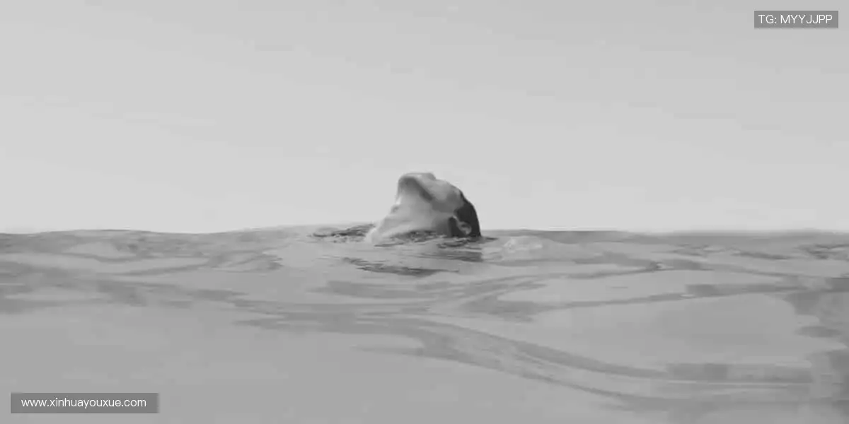 🎁 热爱永不缺席！官方正品周边，把偶像的力量穿在身上，握在手里！